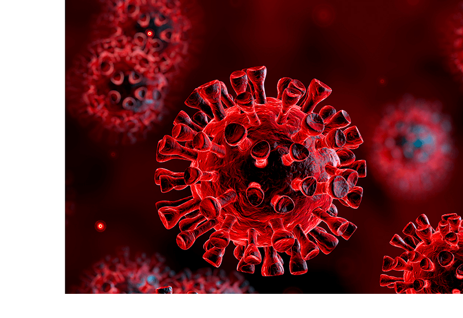 Coronavirus